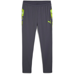PUMA IndividualCUP Trainingshose Herren 08 - galactic gray S