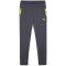 PUMA IndividualCUP Trainingshose Herren 08 - galactic gray S