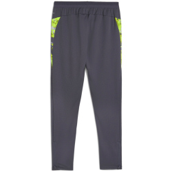 PUMA IndividualCUP Trainingshose Herren 08 - galactic...