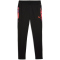 PUMA IndividualCUP Trainingshose Herren 07 - PUMA black L