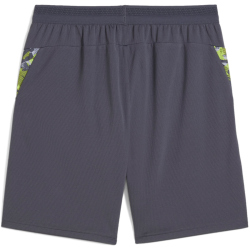 PUMA IndividualCUP Shorts Herren 08 - galactic gray S