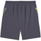 PUMA IndividualCUP Shorts Herren 08 - galactic gray S