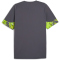 PUMA IndividualCUP Trikot Herren 08 - galactic gray M