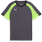 PUMA IndividualLIGA Trikot Kinder 08 - galactic gray/yellow alert 128