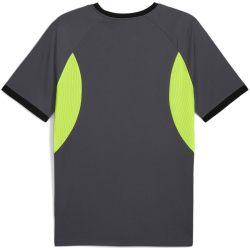 PUMA IndividualLIGA Trikot Herren 08 - galactic...