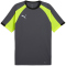 PUMA IndividualLIGA Trikot Herren 08 - galactic gray/yellow alert S
