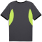 PUMA IndividualLIGA Trikot Herren 08 - galactic gray/yellow alert S