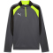 PUMA IndividualLIGA 1/4-Zip Trainings-Top Herren 08 - galactic gray/yellow alert M