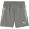 PUMA teamCUP Trainingsshorts Herren 13 - flat medium gray/puma silver/flat light gray S