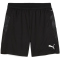 PUMA teamCUP Trainingsshorts Herren 03 - PUMA black/PUMA silver/flat dark gray S