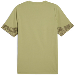 PUMA teamCUP Trainingsshirt Herren 40 - calming...