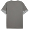PUMA teamCUP Trainingsshirt Herren 13 - flat medium gray/puma silver/flat light gray S
