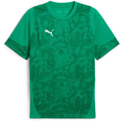 PUMA teamCUP Trainingsshirt Herren 05 - sport green/puma...