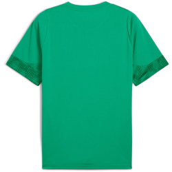 PUMA teamCUP Trainingsshirt Herren 05 - sport green/puma...