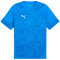 PUMA teamCUP Trainingsshirt Herren 02 - electro royal/puma silver/puma team royal S