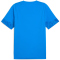 PUMA teamCUP Trainingsshirt Herren 02 - electro royal/puma silver/puma team royal S