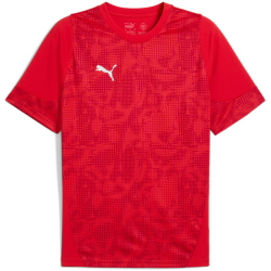 PUMA teamCUP Trainingsshirt Herren 01 - PUMA red/PUMA...