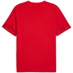 PUMA teamCUP Trainingsshirt Herren 01 - PUMA red/PUMA...