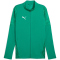 PUMA teamCUP Trainingsjacke Herren 05 - sport green/puma silver/power green S