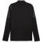 PUMA teamCUP Trainingsjacke Herren 03 - PUMA black/PUMA silver/flat dark gray S