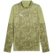 PUMA teamCUP 1/4-Zip Trainings-Top Herren 40 - calming green/puma silver/puma olive S