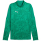 PUMA teamCUP 1/4-Zip Trainings-Top Herren 05 - sport green/puma silver/power green S