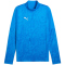 PUMA teamCUP 1/4-Zip Trainings-Top Herren 02 - electro royal/puma silver/puma team royal S