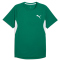 PUMA Cross The Line 3.0 Shirt Herren 06 - power green S