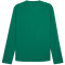PUMA Cross The Line 3.0 Langarmshirt Herren 06 - power green S