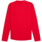 PUMA Cross The Line 3.0 Langarmshirt Herren 05 - PUMA red S