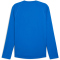 PUMA Cross The Line 3.0 Langarmshirt Herren 04 - team power blue S
