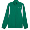 PUMA Cross The Line 3.0 Trainingsjacke Herren 06 - power green S