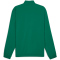 PUMA Cross The Line 3.0 Trainingsjacke Herren 06 - power green S