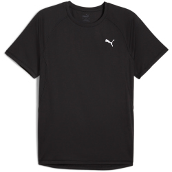 PUMA Run Velocity Polyester Laufshirt Herren 01 - PUMA...
