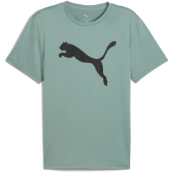 PUMA Tad Essentials Solid Big Cat Trainingsshirt Herren...