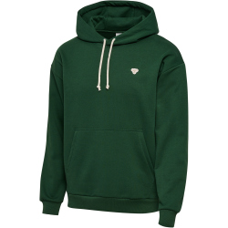 hummel hmlLOOSE Bee Hoodie