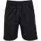 hummel hmlCIMA 2.0 Shorts Herren