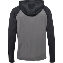 hummel hmlLEAD 2.0 Kapuzenjacke Herren