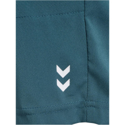 hummel hmlPULSE Workout Shorts 7280 - stargazer XS