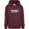 hummel hmlJR Logo Hoodie Kinder 3016 - vineyard wine 104