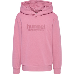 hummel hmlJR Base Hoodie Kinder 3203 - polignac 104