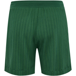 hummel hmlARCHIVE Regular Shorts 6170 - eden XS/S