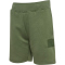 hummel hmlCLEAN verstellbare Shorts Kinder 6168 - olivine 116