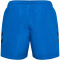 hummel hmlNED Badeshorts Herren 8650 - skydiver XS