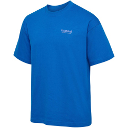 hummel hmlLOOSE Bees Stadium T-Shirt 8650 - skydiver XS