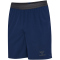hummel hmlPRO Trainingsshorts Herren 7026 - marine S