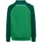 hummel hmlLEAD 2.0 Trainingsjacke Kinder 6327 - jelly bean/evergreen 116