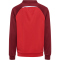 hummel hmlLEAD 2.0 Trainingsjacke Kinder 3713 - true red/maroon 116
