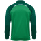 hummel hmlLEAD 2.0 Trainingsjacke Herren 6327 - jelly bean/evergreen S