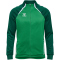 hummel hmlLEAD 2.0 Trainingsjacke Herren 6327 - jelly bean/evergreen S